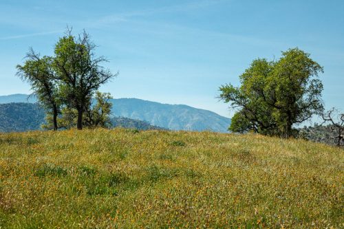 Kern Canyon trail-207web
