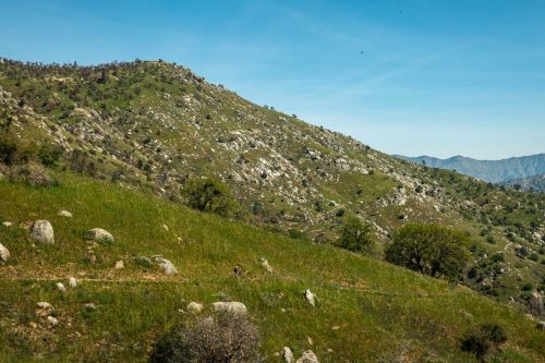 Kern Canyon trail-216web