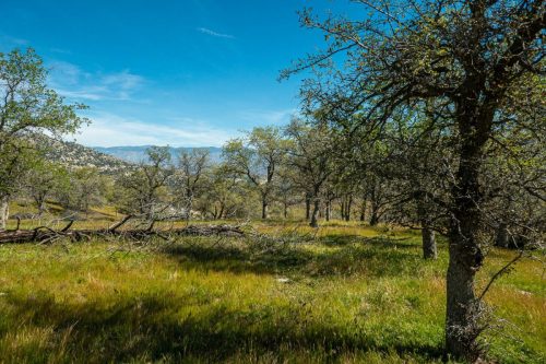 Keyesville trails-200web