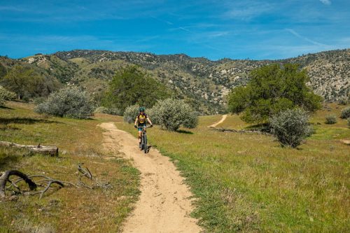 Keyesville trails-202web