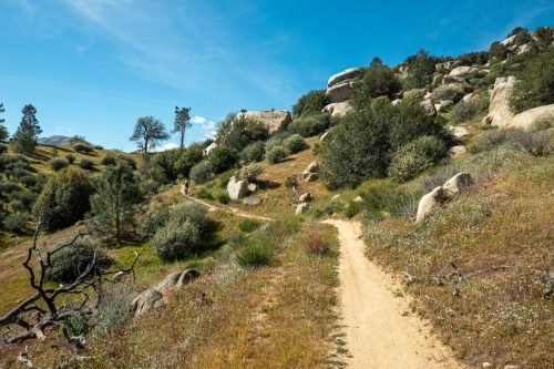 Keyesville trails-214web