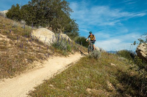 Keyesville trails-218web