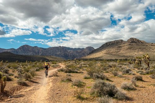 Late Night Trails-216web