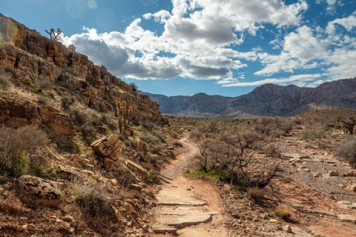 Late Night Trails-217web