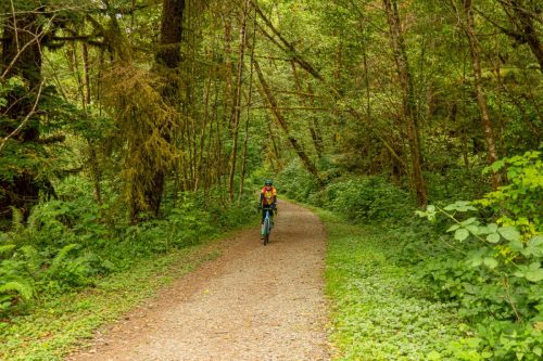 Lost Man Creek-200web
