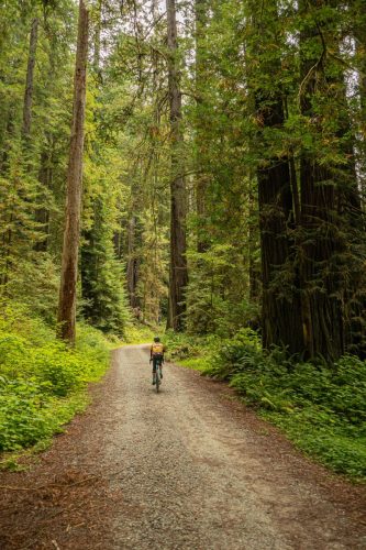 Lost Man Creek-202web
