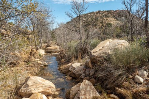 Middle Oak Creek-215web