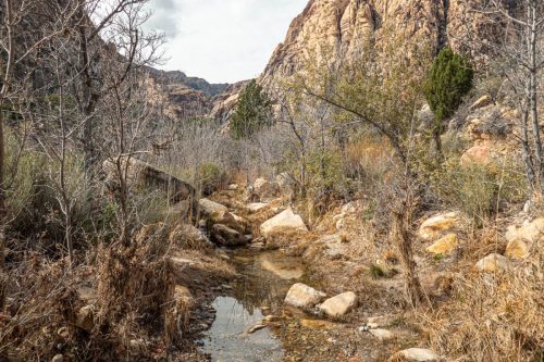 Middle Oak Creek-217web