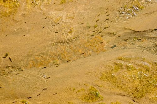 Mosaic Canyon-228web