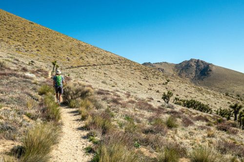 PCT Owens Peak-203web