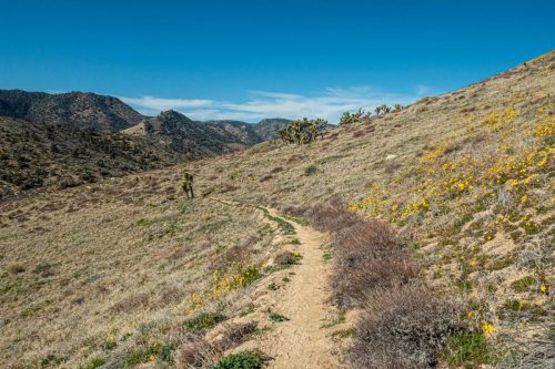 PCT Owens Peak-204web