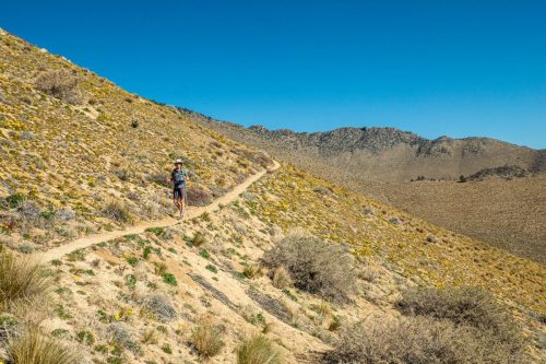PCT Owens Peak-208web