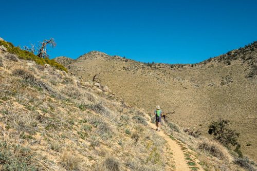 PCT Owens Peak-209web