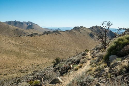 PCT Owens Peak-211web