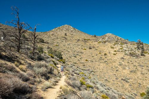 PCT Owens Peak-212web