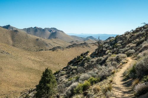 PCT Owens Peak-213web