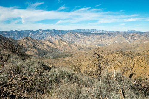 PCT Owens Peak-215web