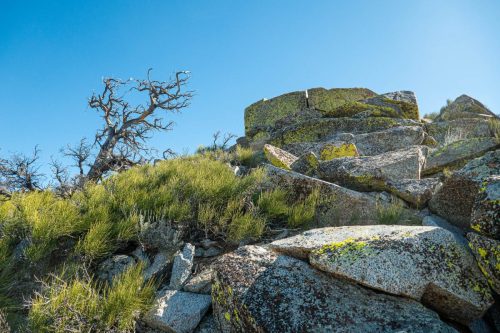 PCT Owens Peak-220web