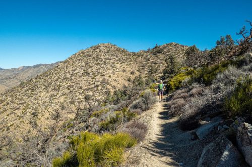 PCT Owens Peak-222web
