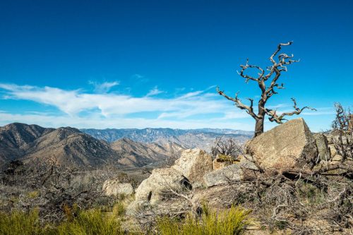 PCT Owens Peak-223web