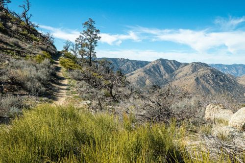 PCT Owens Peak-224web