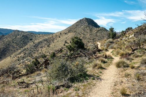 PCT Owens Peak-226web