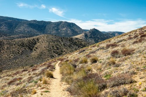 PCT Owens Peak-230web
