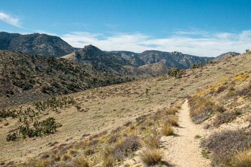 PCT Owens Peak-231web
