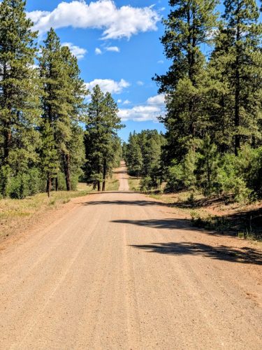 PXL_20250709_171032889~2