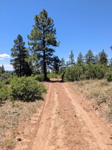 PXL_20250709_182545919