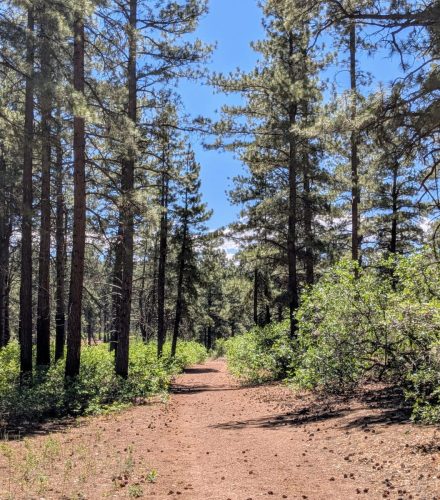 PXL_20250709_183404683