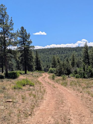 PXL_20250709_183637581