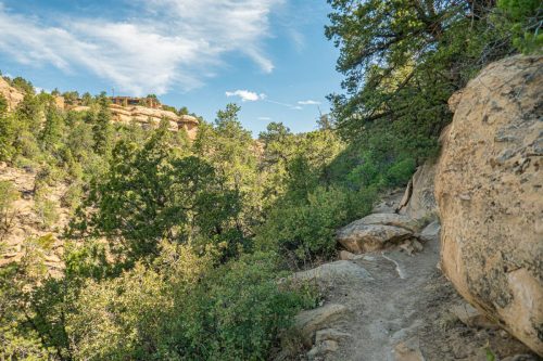 Petroglyph loop-201web