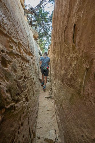 Petroglyph loop-204web