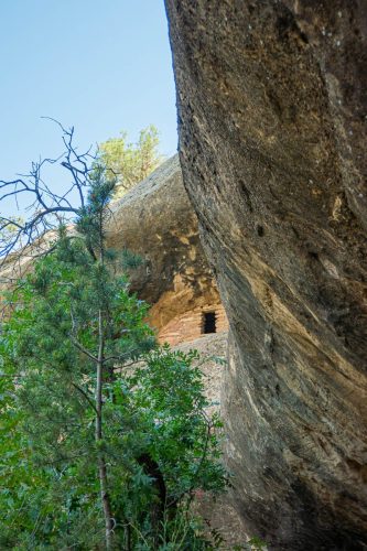 Petroglyph loop-210web