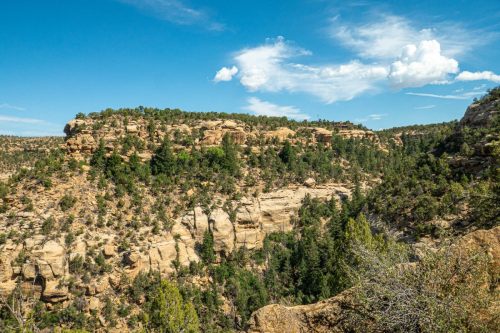 Petroglyph loop-212web