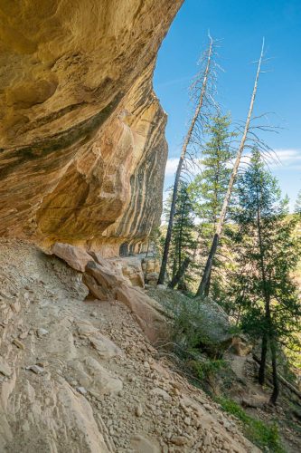 Petroglyph loop-216web