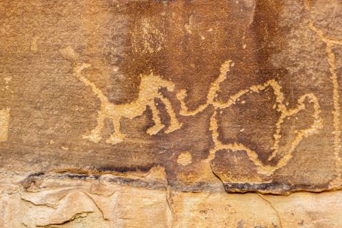 Petroglyph loop-219web