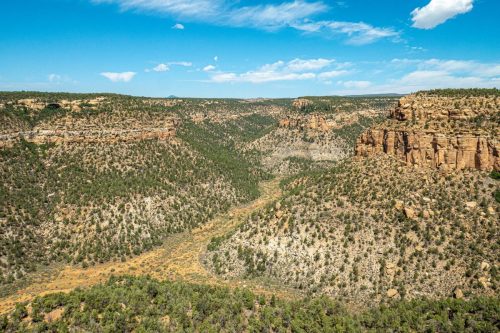 Petroglyph loop-220web