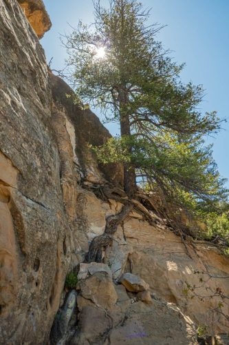 Petroglyph trail-205web