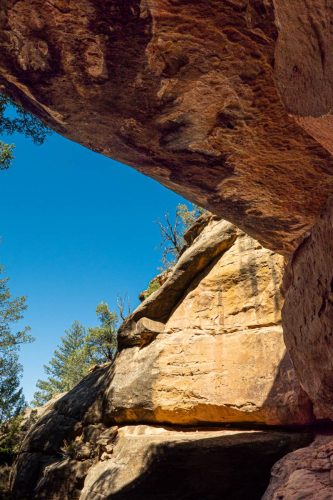 Petroglyph trail-207web