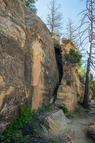 Petroglyph trail-208web