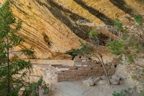 Petroglyph trail-212web