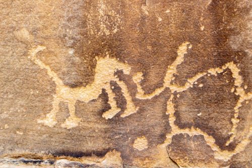 Petroglyph trail-216web
