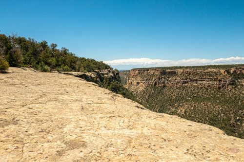 Petroglyph trail-218web