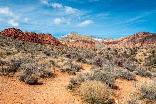 Red Rock hike-200web