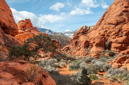 Red Rock hike-217web