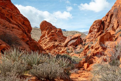 Red Rock hike-220web
