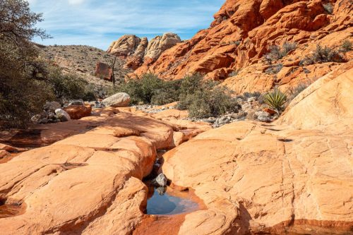 Red Rock hike-225web