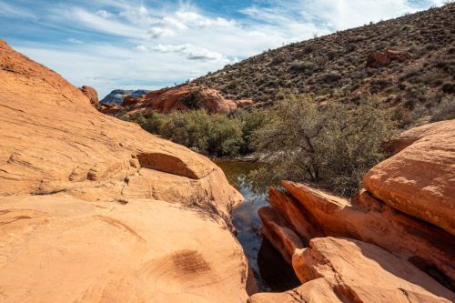 Red Rock hike-229web